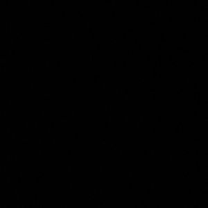 Meet your Posher, Liz